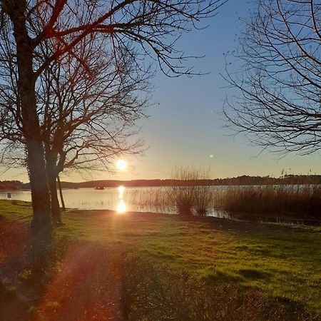 Appartement Les Terrasses Du Lac Aureilhan  Екстериор снимка